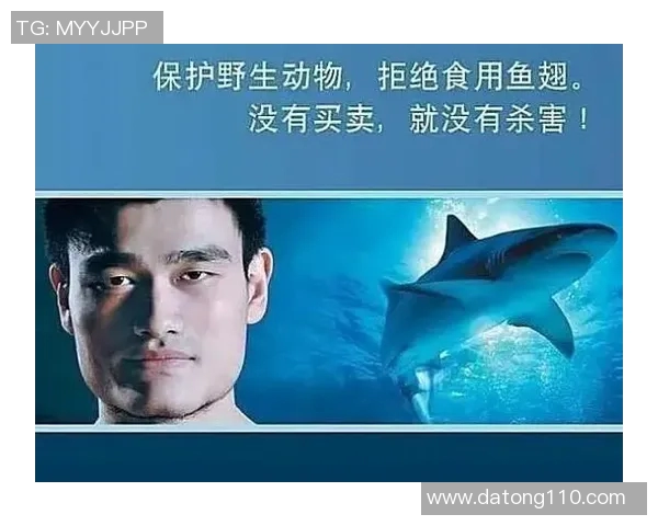 姚明呼吁保护鲨鱼生态平衡共建海洋和谐家园 姚明呼吁保护鲨鱼生态平衡共建海洋和谐家园