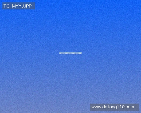 泰迪熊篮球明星的梦想之路与成长故事分享